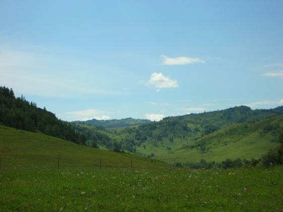 Чинетинский заказник Алтайский край